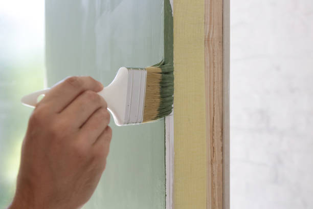 North East, MD Mold Removal Company