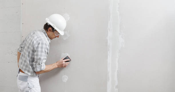 Best Mold Remediation for Vacation Homes  in North East, MD