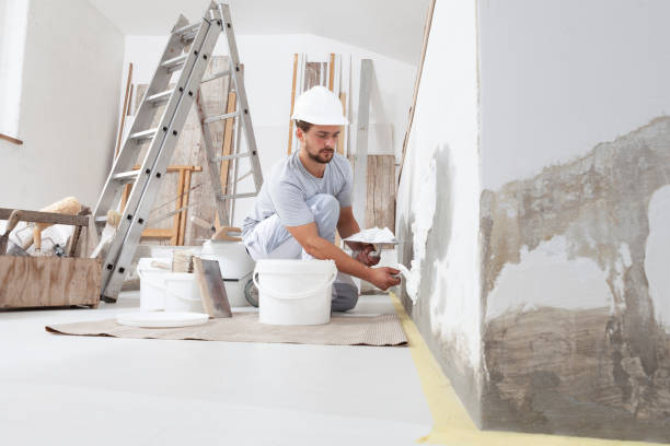 Best Mold Documentation for Insurance Claims  in North East, MD