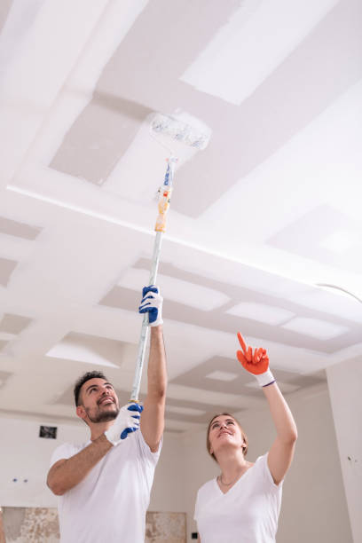 Mold Removal for HVAC Installations in North East, MD