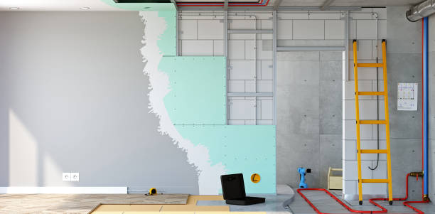 Best Asbestos and Lead Testing During Mold Inspection  in North East, MD