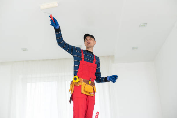 Best Environmental Consulting for Mold Prevention  in North East, MD