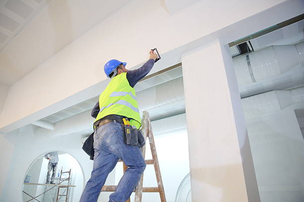 Best Mold Damage Restoration  in North East, MD