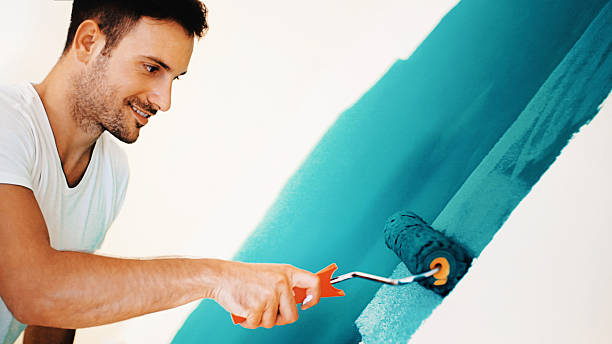Best Black Mold Removal  in North East, MD