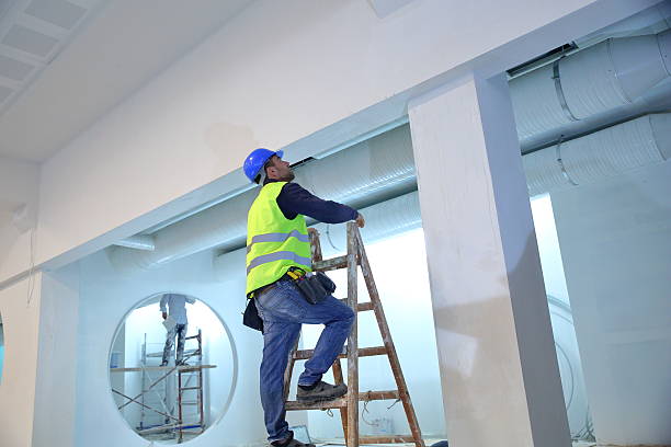 Best Crawl Space Mold Remediation  in North East, MD