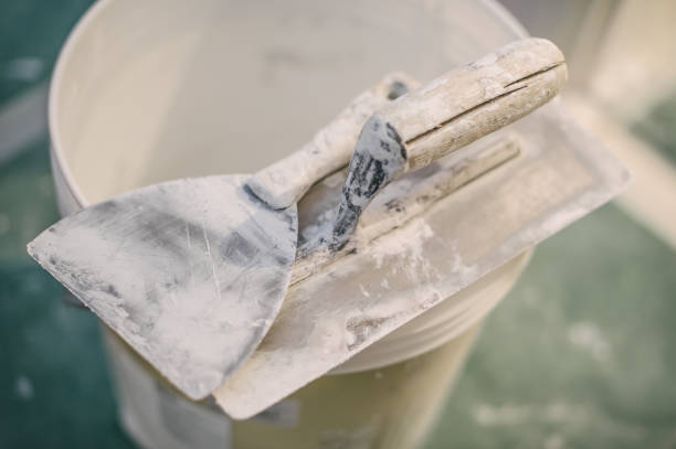 Best Real Estate Mold Inspection  in North East, MD