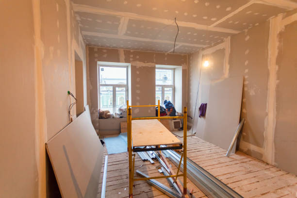 Best Post-Construction Mold Inspection  in North East, MD