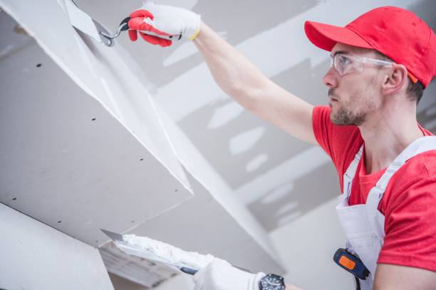 Best Basement Mold Removal  in North East, MD